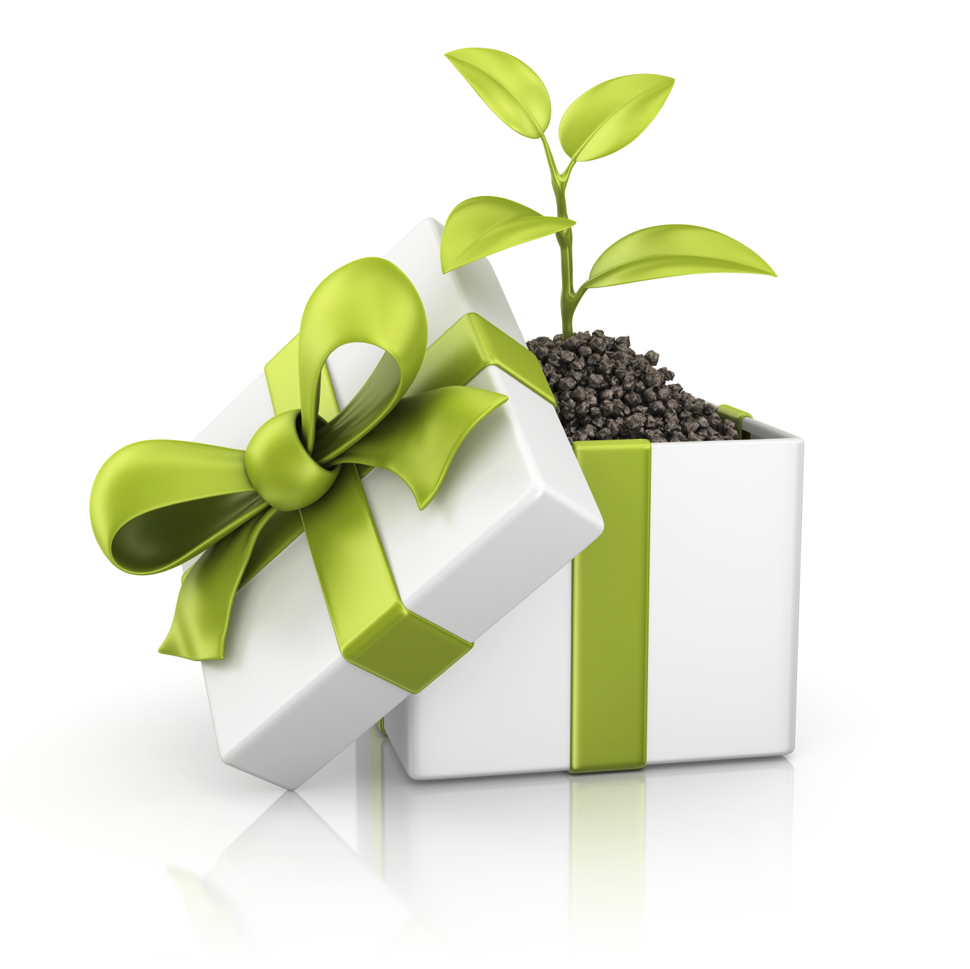 Thoughtshower Five Tips for More Sustainable Gifts