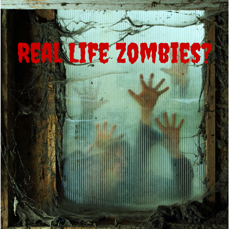 The Rural Economist & Bringing Rural Back Podcast Real Life Zombies?