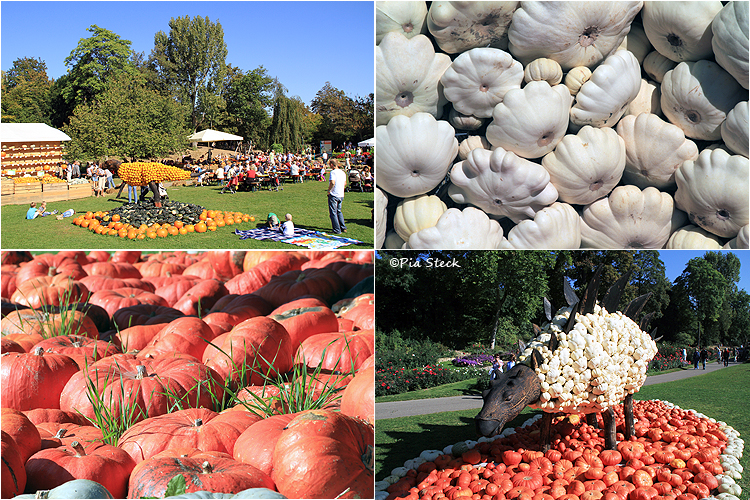 Ludwigsburg Archive Reflexionblog