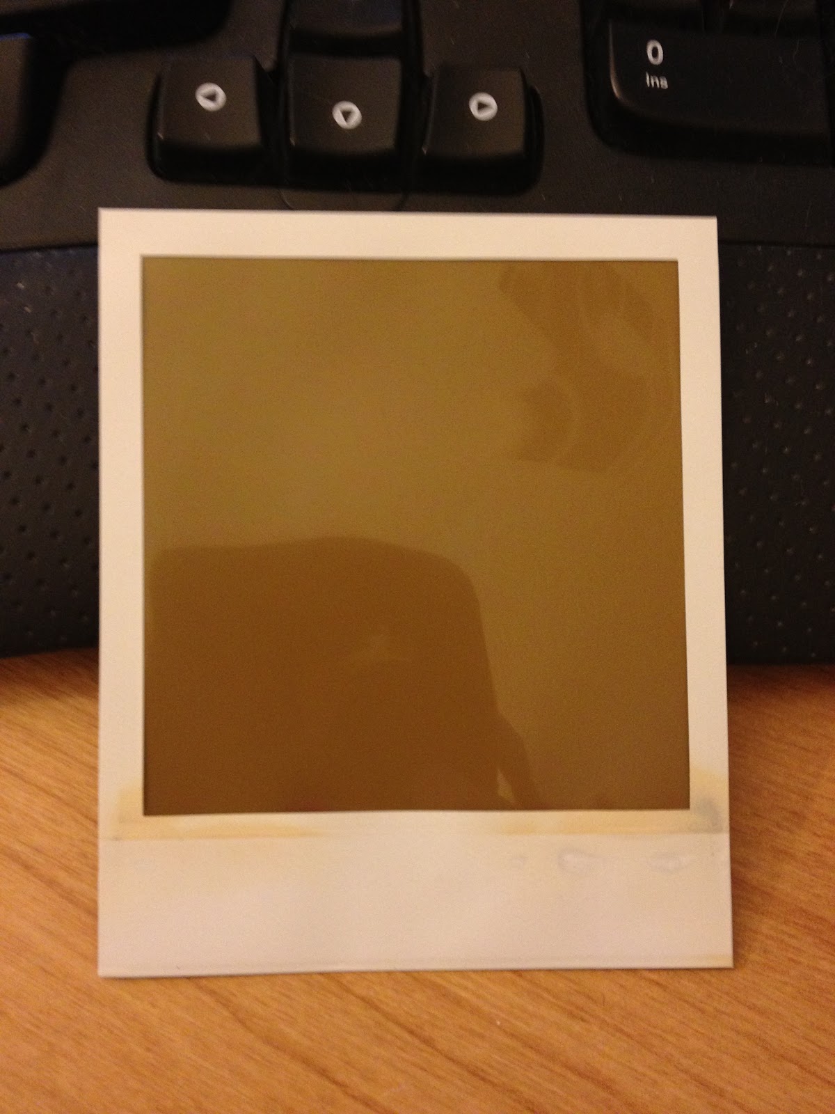 The Social Introvert Trash to Vintage Polaroid