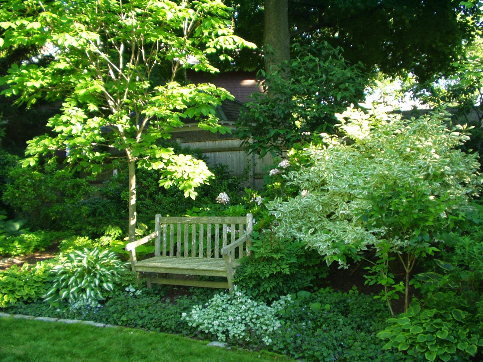 Sowing The Seeds Of A Garden City Environment News Top Stories