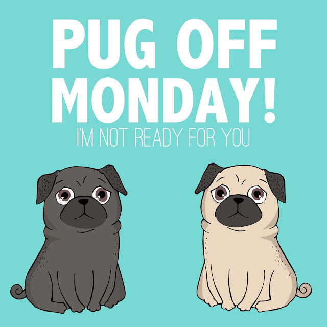 pug monday pug monday i m not ready for you pug monday pug monday i m not ready for you