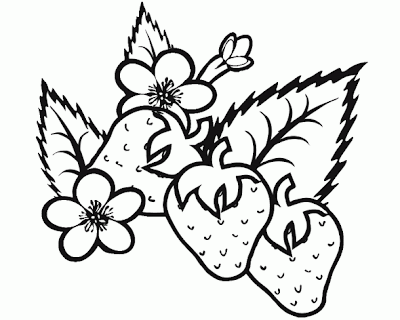 Fresh Strawberry Coloring Pages Learn To Coloring