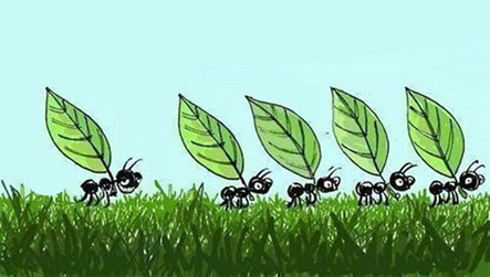 cuentosdedoncoco com las cinco hormiguitas cuentos infantiles