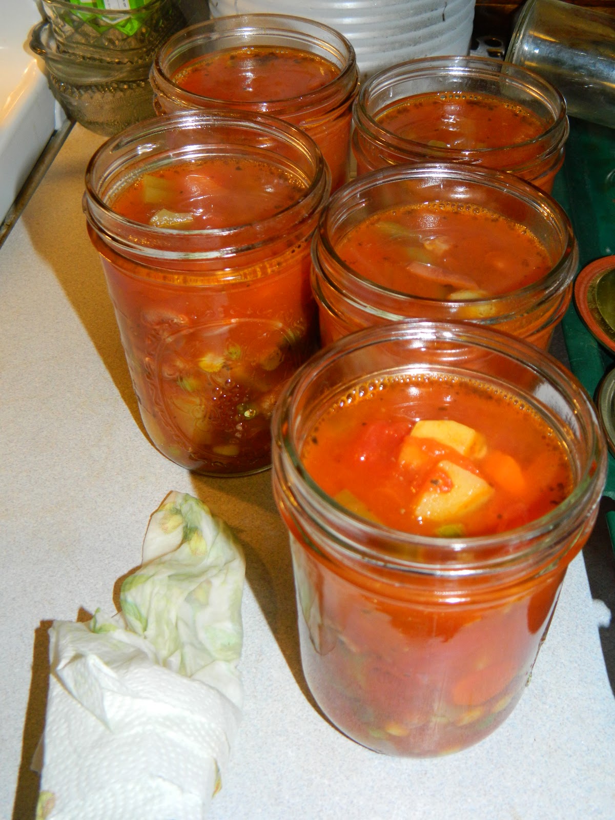 Farm Girl Tails Canning Beef Vegetable Soup