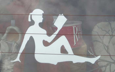 White silhouette figure of a woman, like the ones on sexist men's mudflaps, except she's reading a book