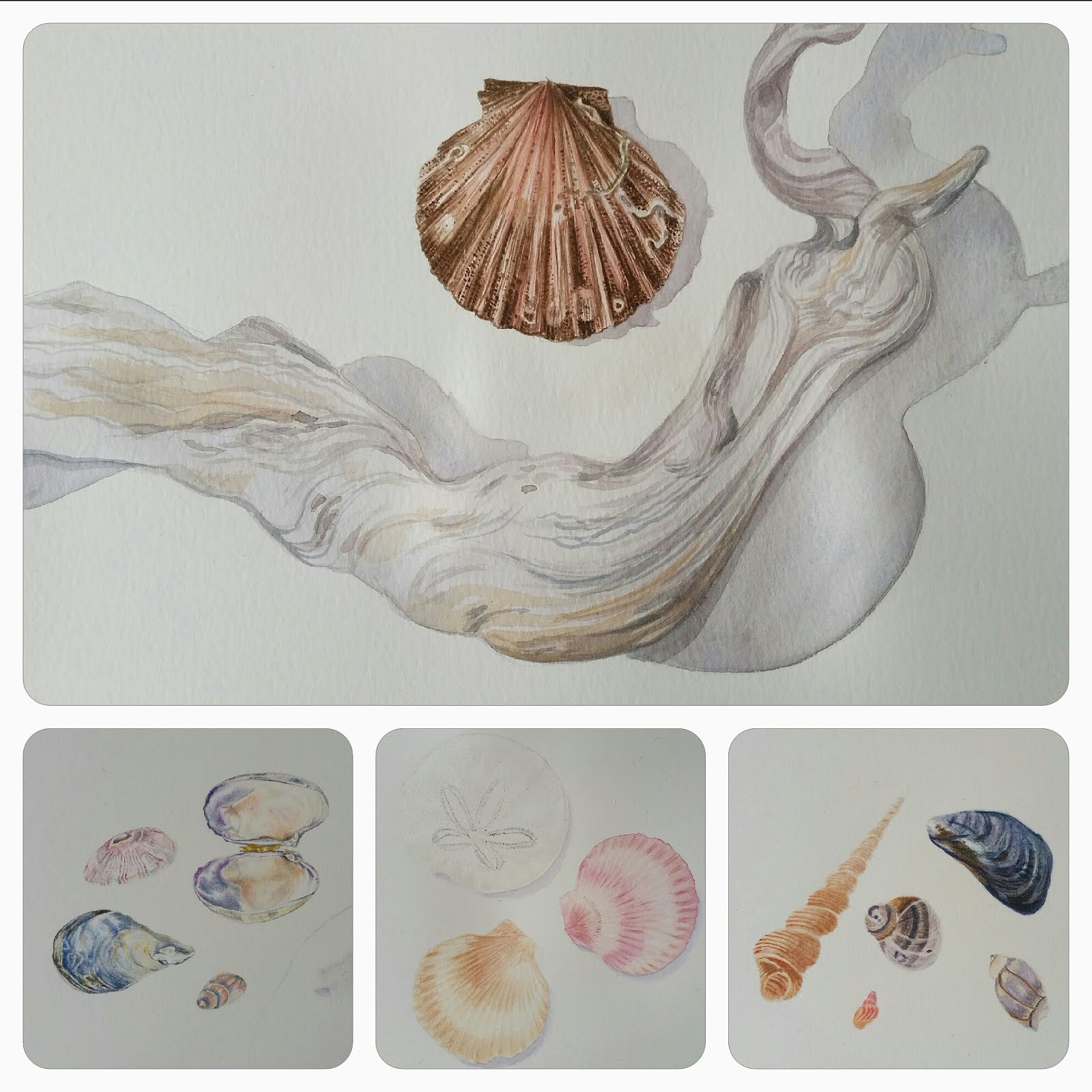 Student's work - The Seashore Palette