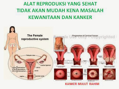 http://alami-keputihan.blogspot.com/2013/12/obat-penyempit-vagina.html
