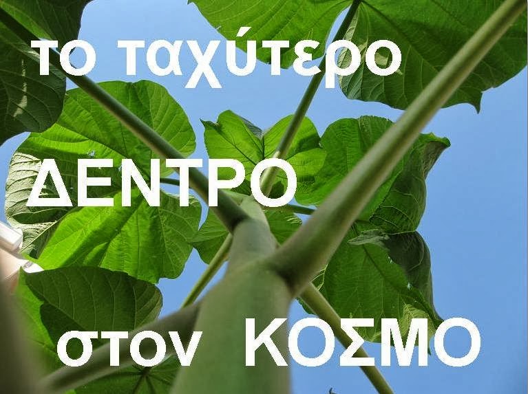 ΠΑΟΥΛΟΒΝΙΑ