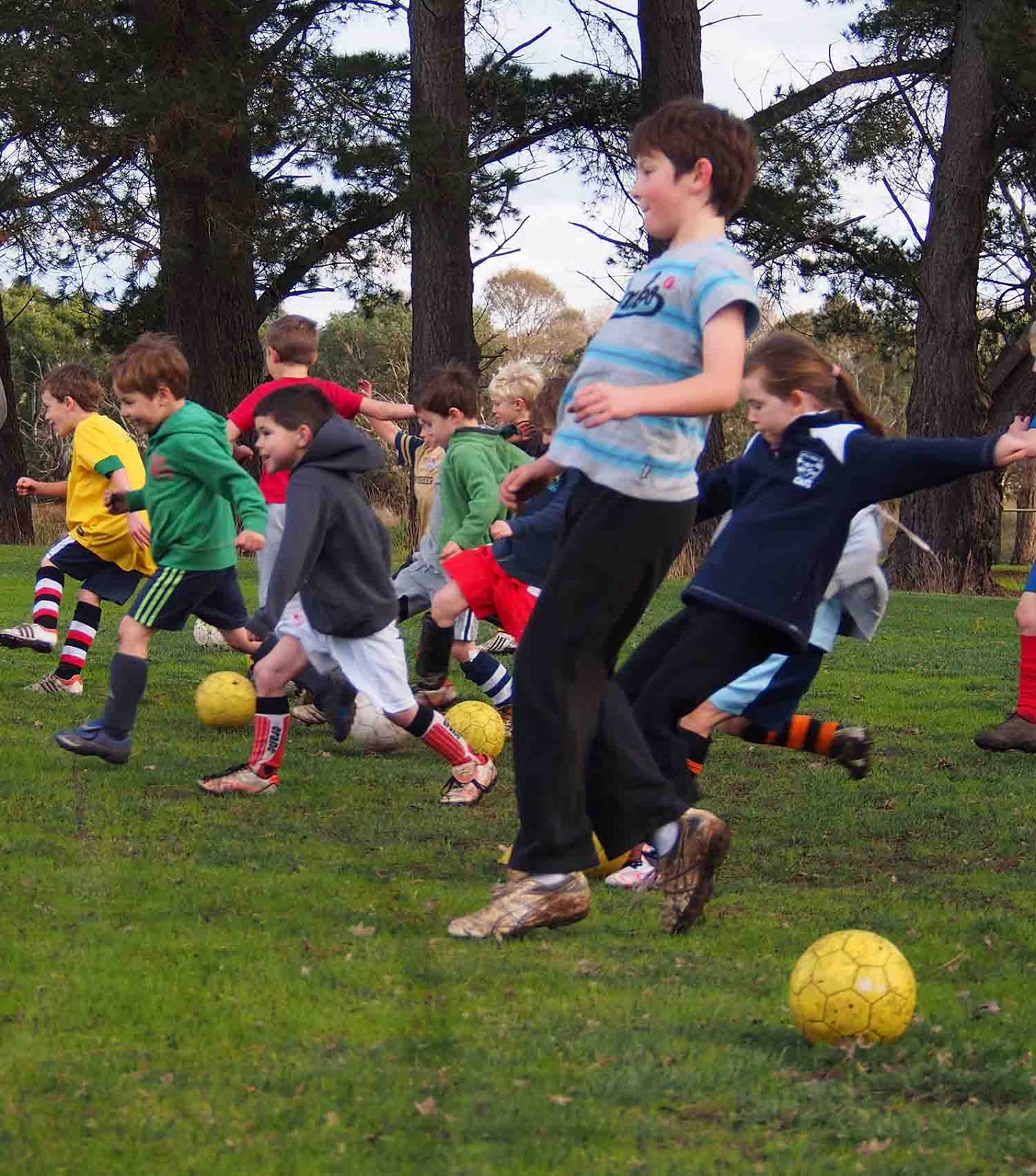 Hamilton Soccer Club Inc Juniors