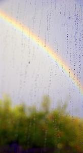 Rainbow Over Apple Tree, photo by Elspeth Briscoe Rainbow Over Apple Tree, photo by Elspeth Briscoe