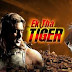 Ek Tha Tiger Watch Full & Download Free Hindi Movie