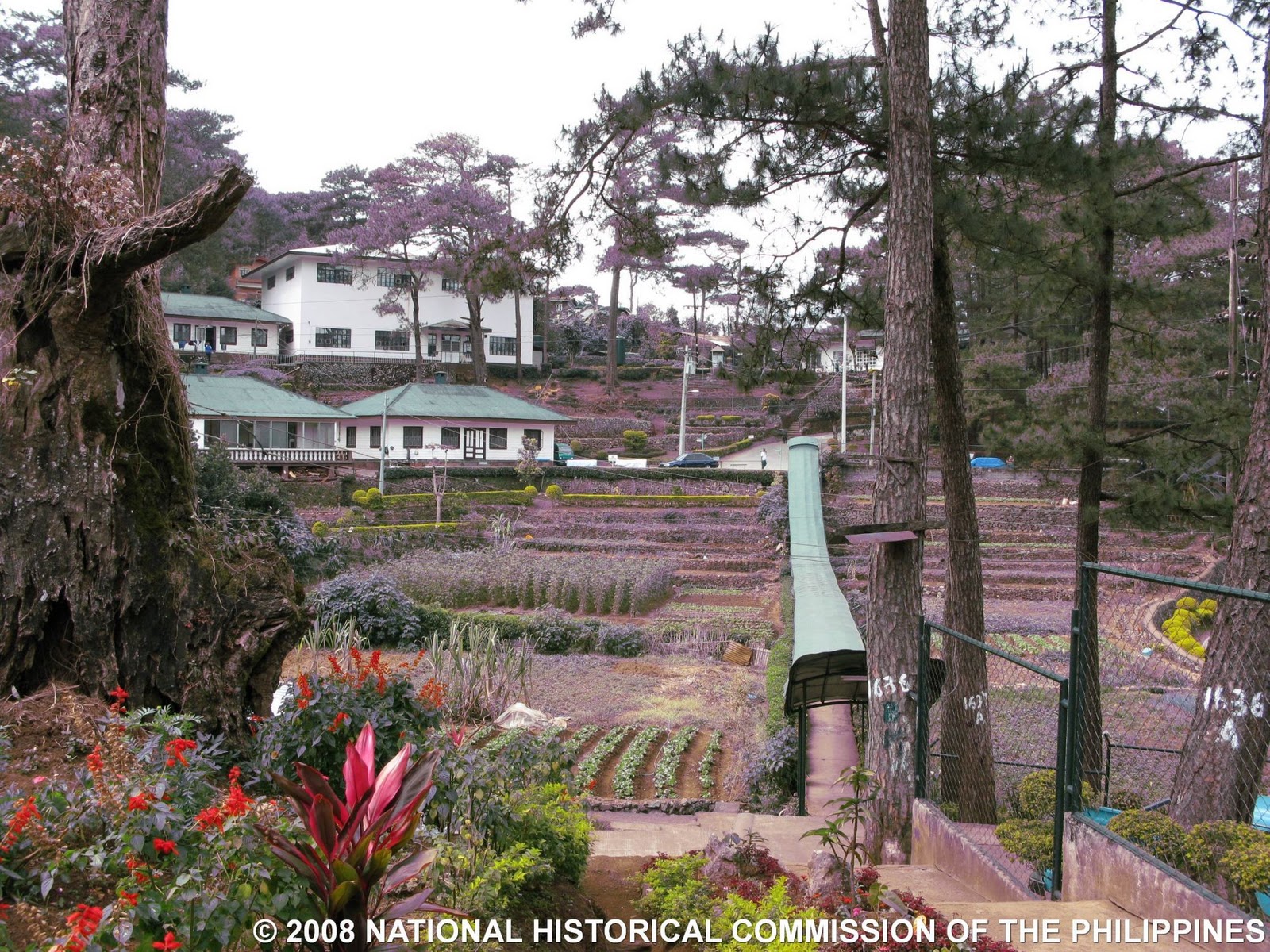 Dating camp baguio dating camp baguio