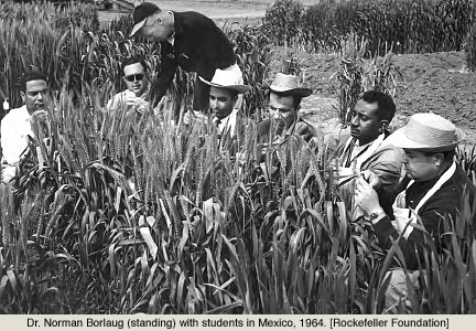 Discover The Hidden History Of The Green Revolution - d63cbpc