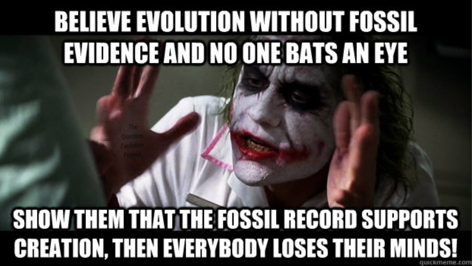 Joker_Fossil_Record.png