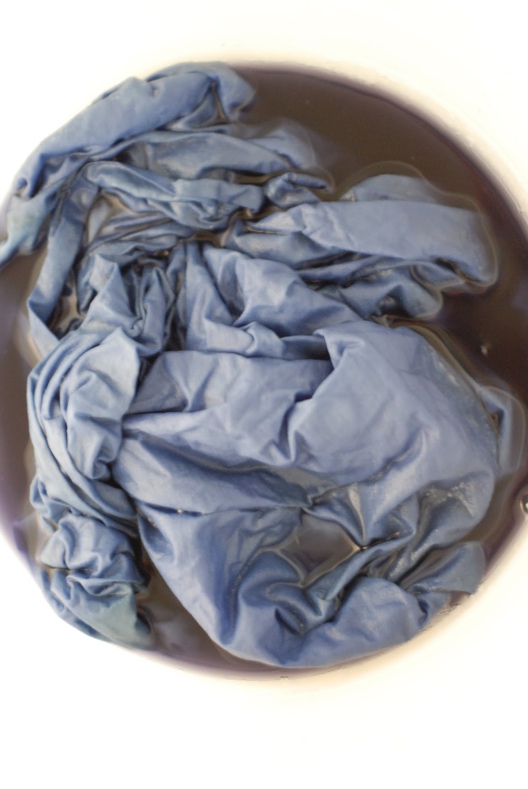 A Honeymooner's Guide to Living dyeing with black beans