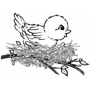 Cardinal Coloring Pages