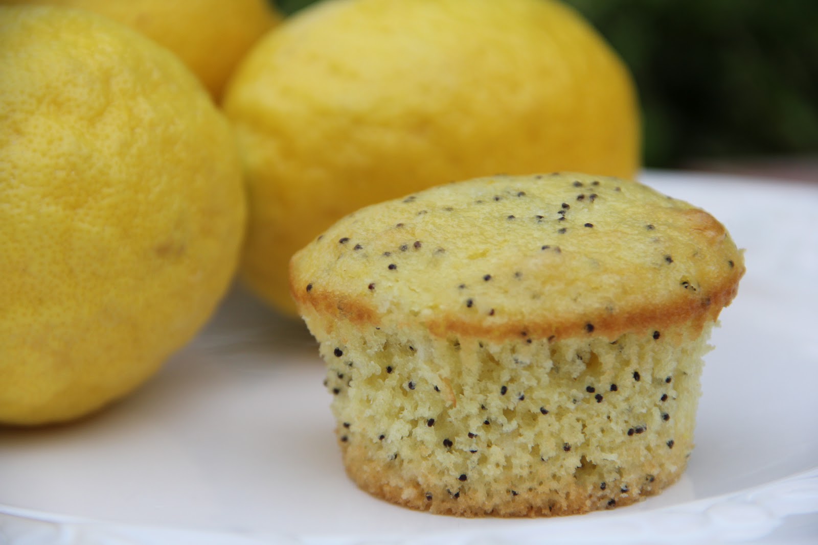 Lemon Poppy Seed Muffins Recipe Mix and Match Mama