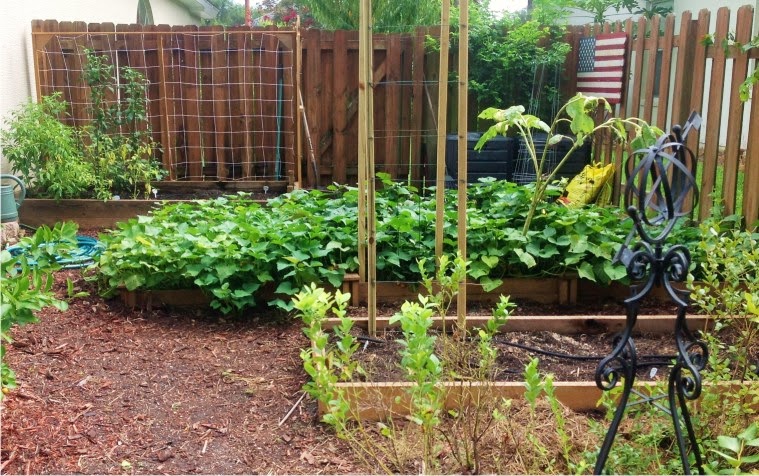 The Sanctuary Garden