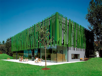 Top Most Attractive Oracle Decks In Museum Museum Of Tarot