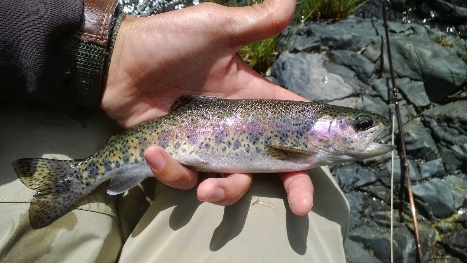 Trout Opener 2014 Keep Calm and Fly Fish