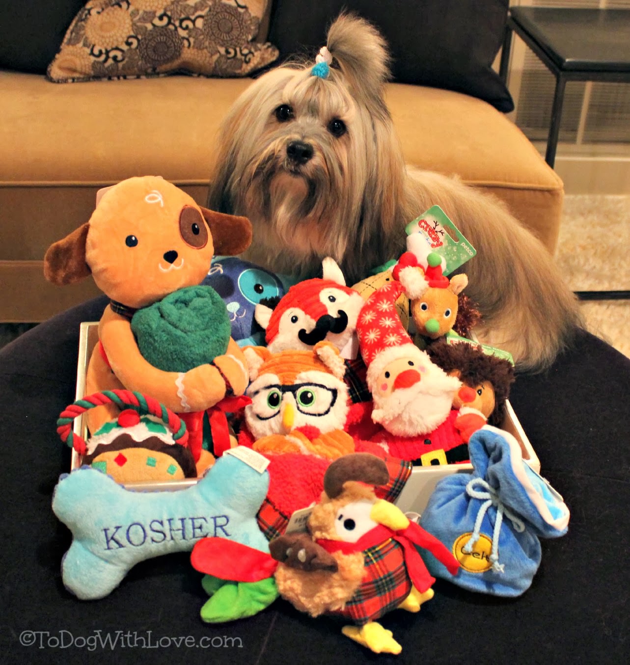 To Dog With Love Holiday Gift Guide Giveaway Crazy about Petco!