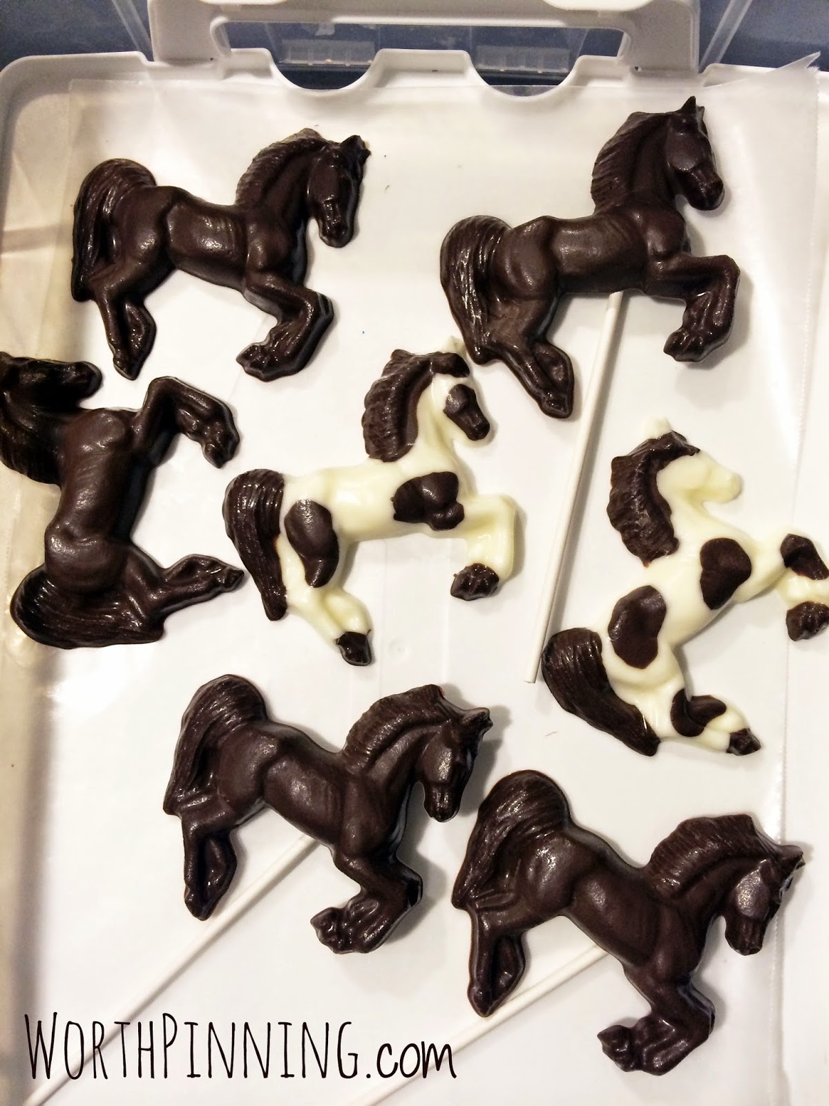 Worth Pinning Chocolate Horse Pops & S'mores Pops