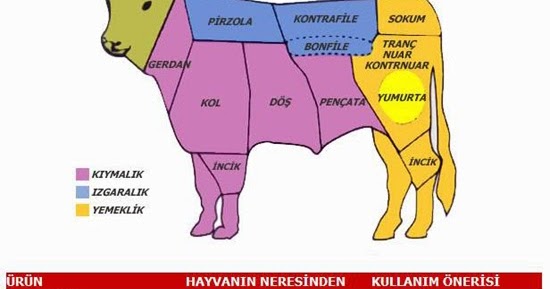 KIRMIZI ET DÖKÜM IZGARA TAVA İLE ET NASIL PİŞİRİLİR.