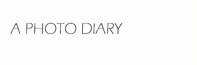  a photo diary