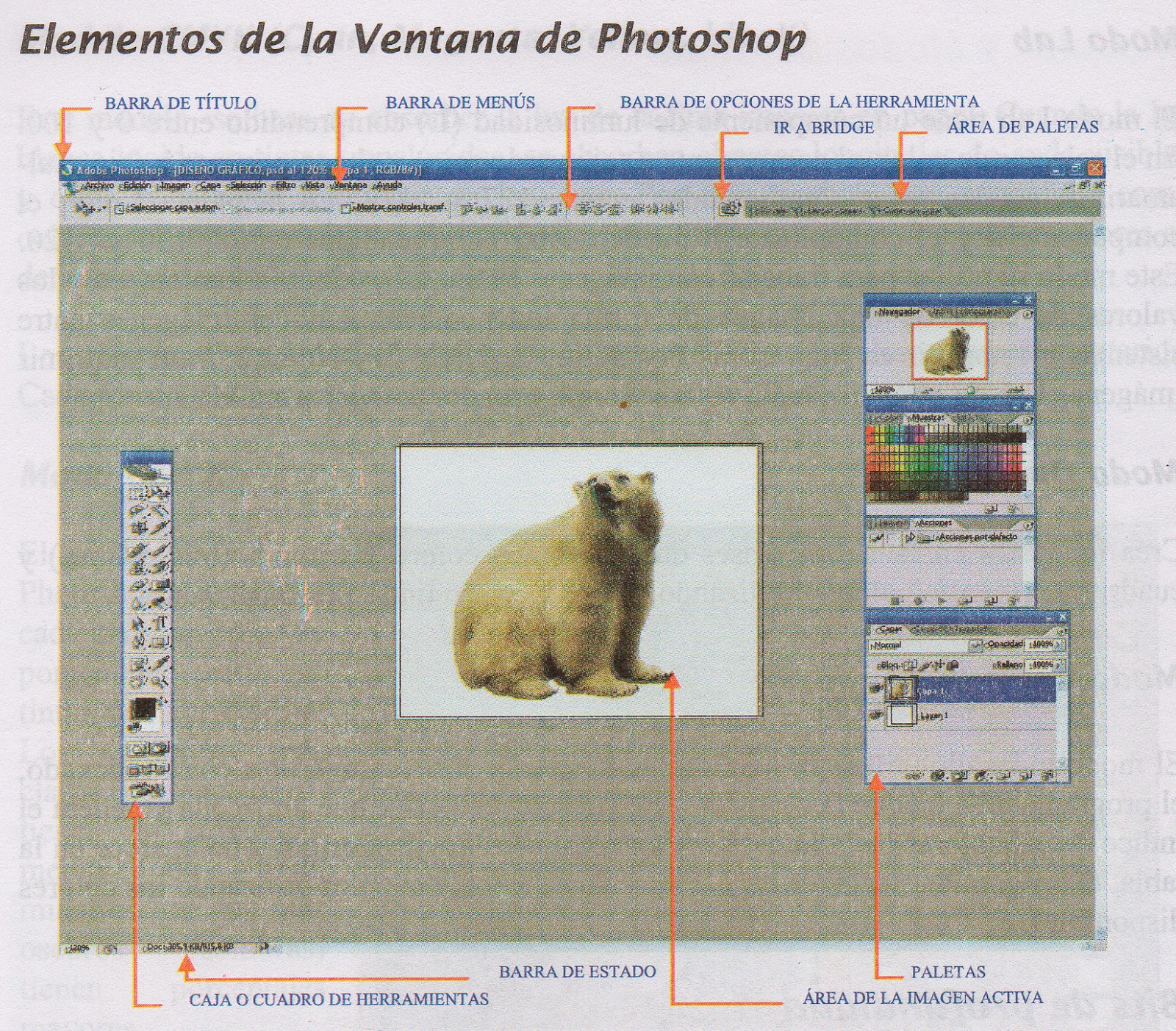 Elementos de la ventana Curso de