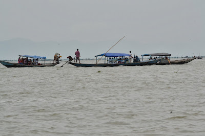 Hide and seek with chilika dolphin