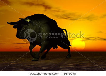 3d bull wallpaper