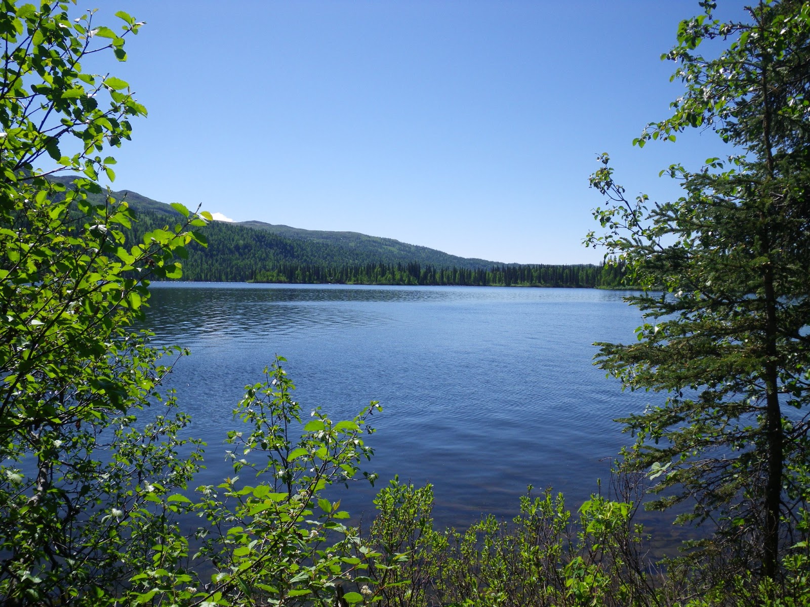 Alaskan Brothers Byers Lake Trail