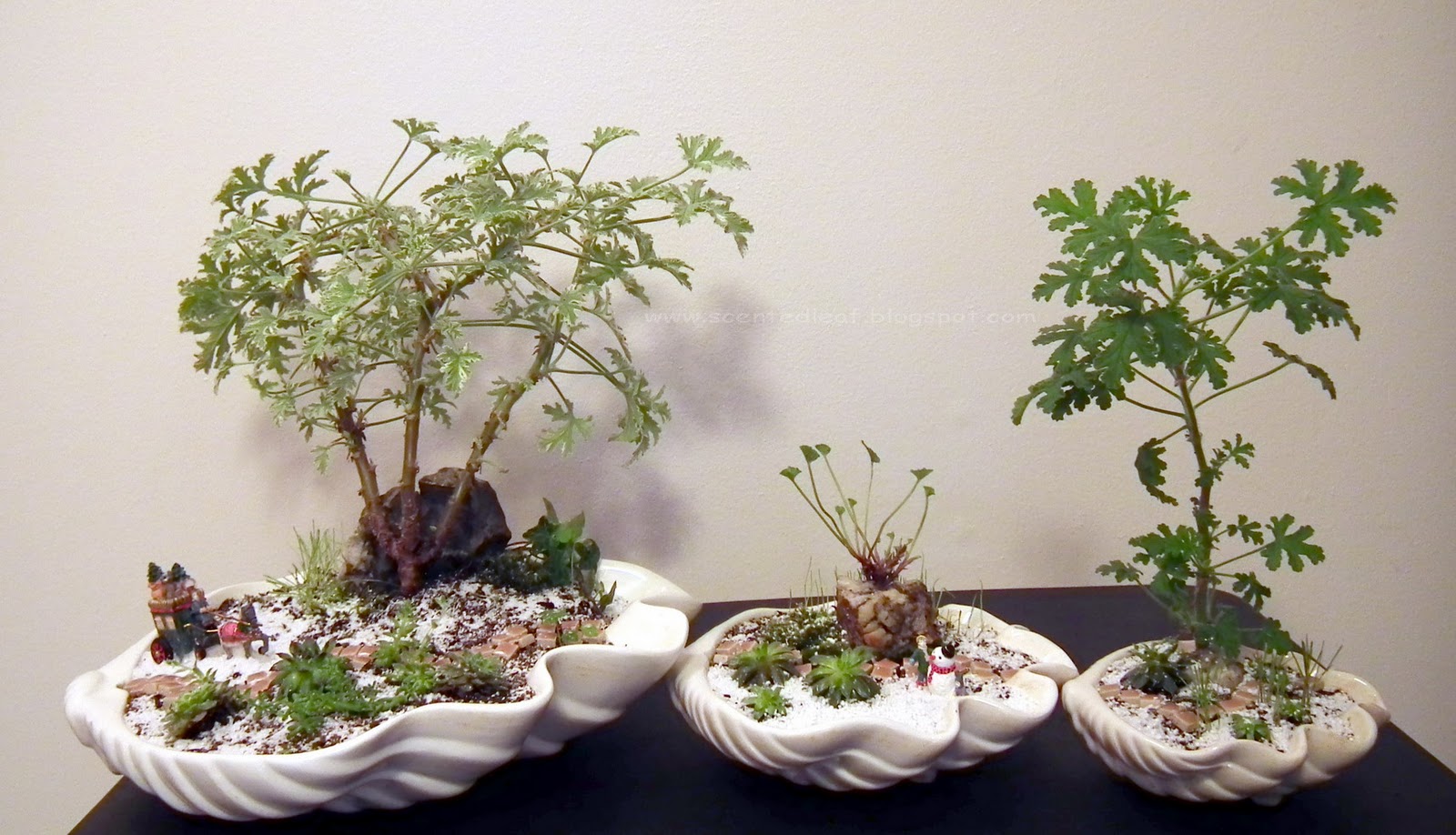 Scented Leaf Fairy Gardens For Holiday Craft Fair 2011 Vancouver Scented Leaf Fairy Gardens For Holiday Craft Fair 2011 Vancouver