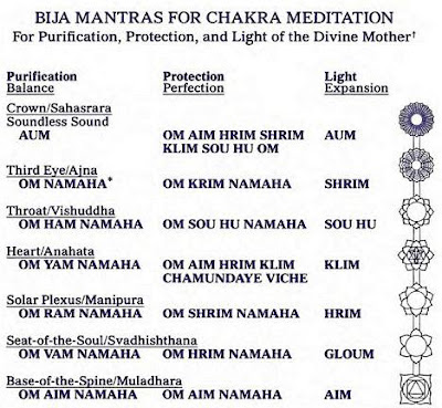krishnamacharya 39 s original ashtanga vinyasa krama yoga and body part value chart