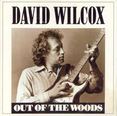 Image result for david wilcox american musician albums