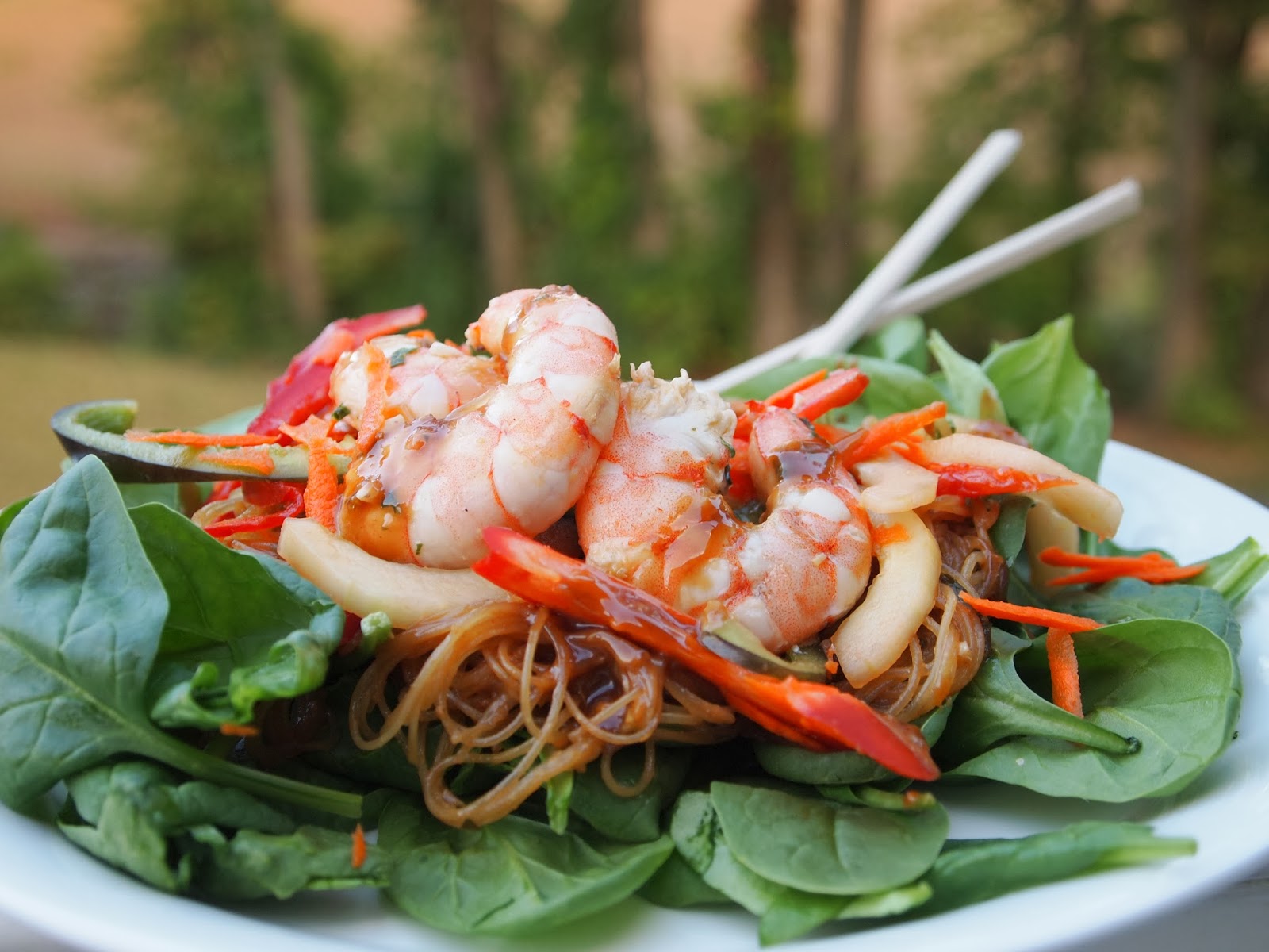 My Girlfriend's Best Recipes Shrimp and Soba Noodle Salad