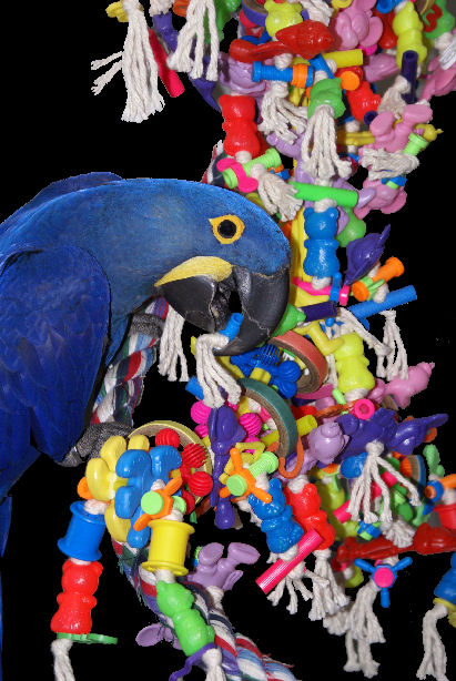 handmade bird toys