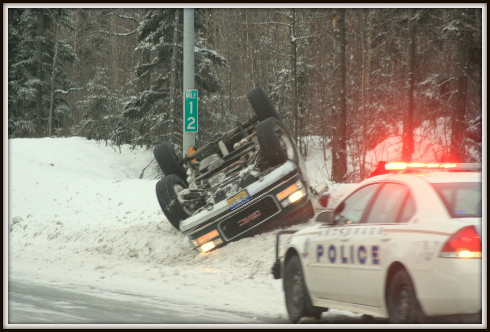 Car Accident Moose Car Accidents Alaska