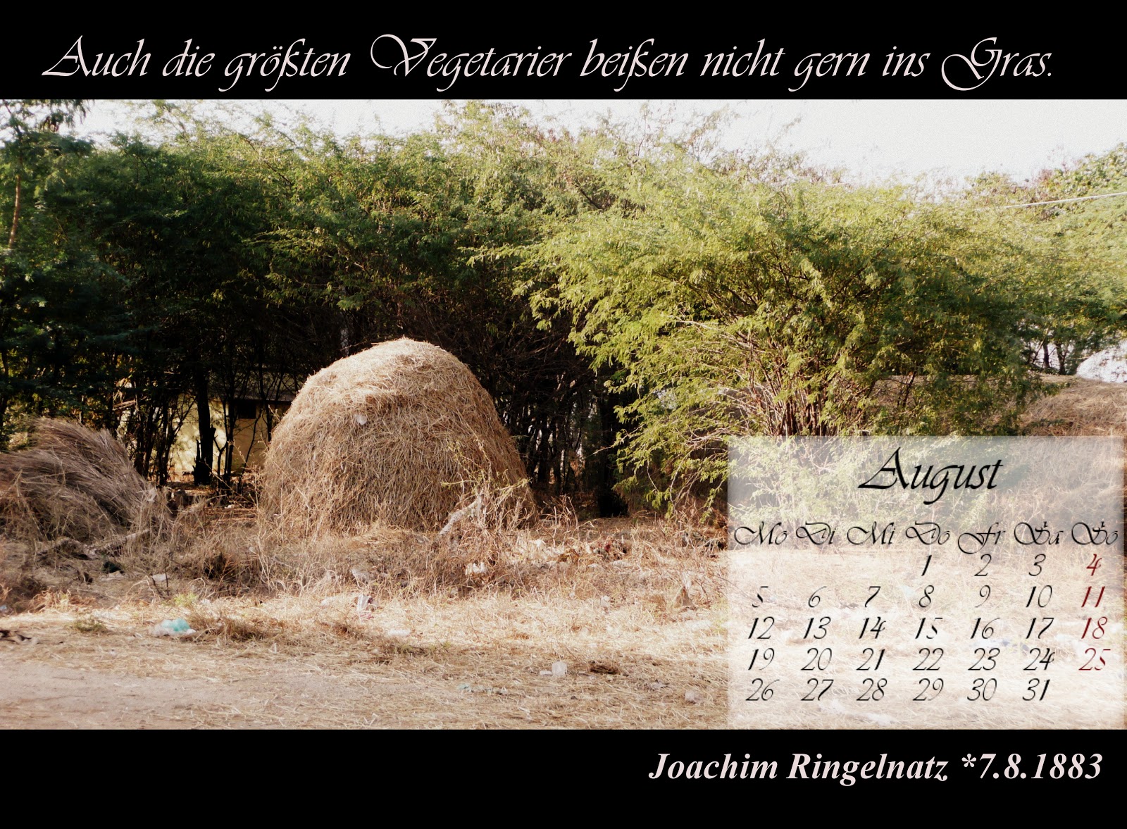 Frohe Weihnachten Lebe Lieber Literarisch