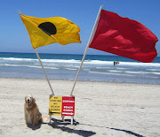 I never really understood this sign with flags on the beach. (img )