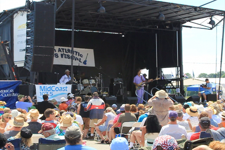 Florida Blues Festivals 2013
