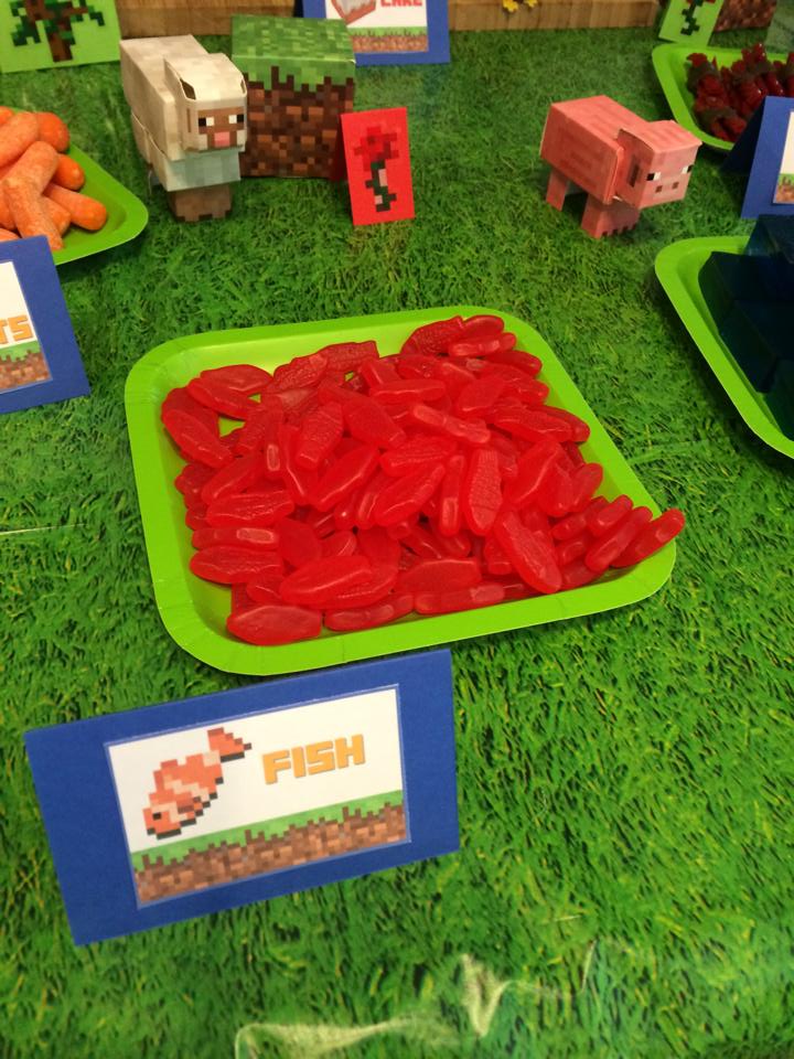 Twinfamous! Minecraft 7th Birthday Party Mod.