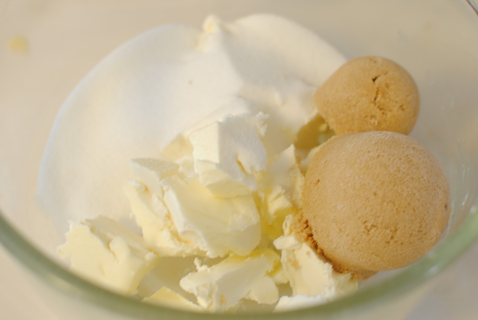 Chocolate Chip Cookies (Kosher for Pesach) Ilana's Oven
