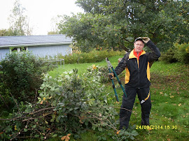 Talonmies pihapuiden kaataja pensaikkojen leikkaaja e-mail: talonmiespalvelu@gmail.com
