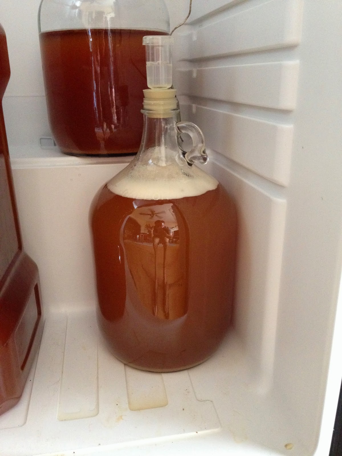 Dunerbrew Super Simple Mead in 7 Simple Steps