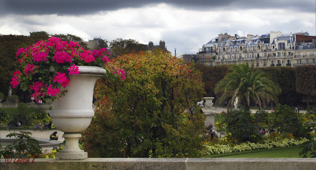 Jardin du Luxembourg Paris Franta