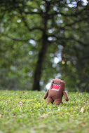 -domo-