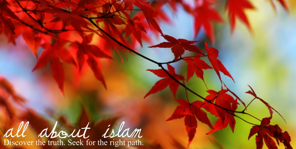 :: all about islam ::