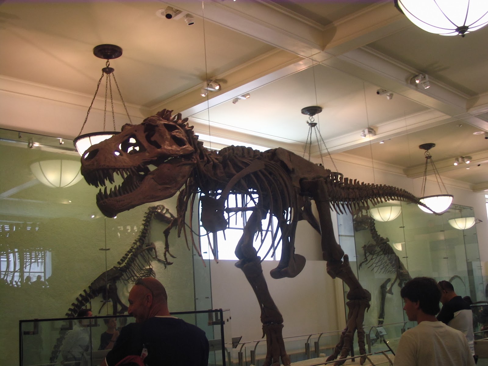 What happens when a nonaccredited paleontology fan blogs An overview of dinosaur exhibits